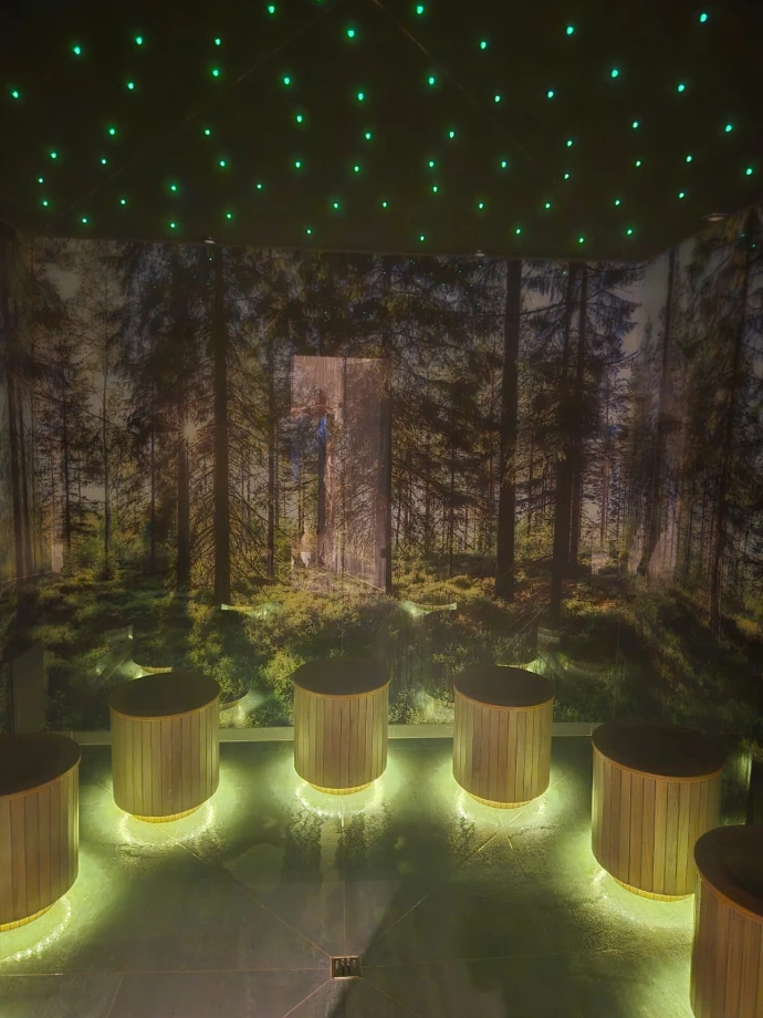 Technical control for sauna with glass walls